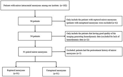 A predictive hemodynamic model based on risk factors for ruptured mirror aneurysms